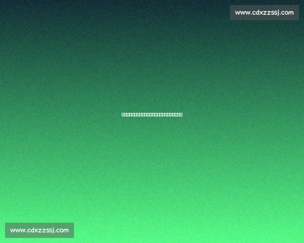 十年前德甲惊艳首秀！孙兴慜经典进球回顾与蜕变之路