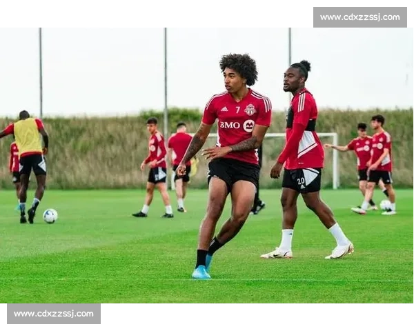 多伦多对阵圣何塞强强碰撞前瞻解析与胜负看点阵容走势战术博弈关键因素