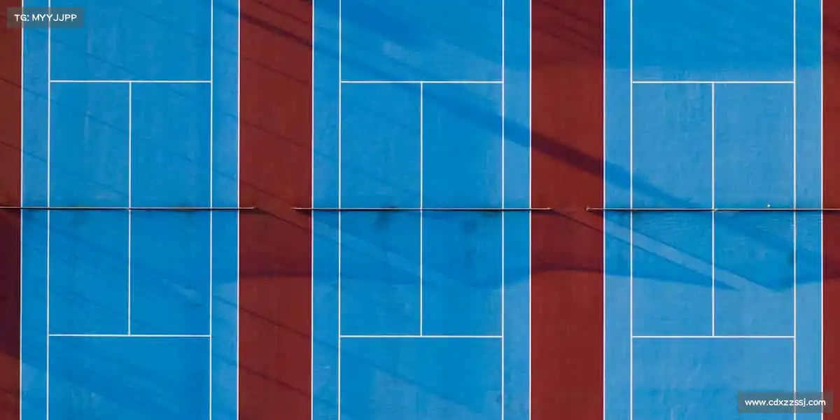 行业领先的理由